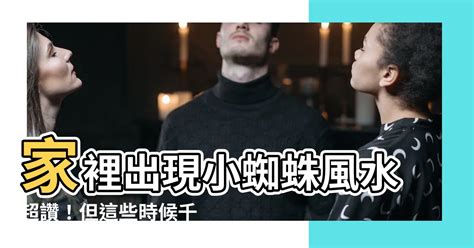 家裡出現小蜘蛛風水|小蜘蛛現身客廳，專家解析：吉兆還是凶兆？